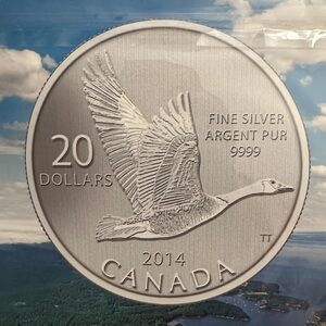 Canada 2014 Silver Coin with Flying Goose Design